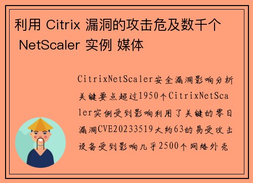 利用 Citrix 漏洞的攻击危及数千个 NetScaler 实例 媒体